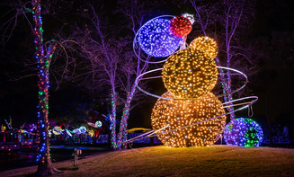 Affordable holiday lights limo rental in Lone Tree, CO
